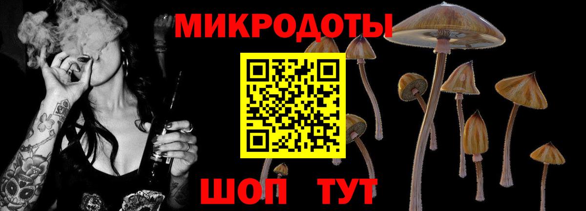 Тутаев  Галлюциногенные грибы MAGIC MUSHROOMS  Галлюциногенные грибы Cubensis  Вход с VPN 